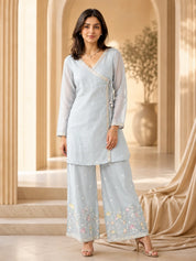 Powder Blue Co-ord Set with Botanical Motifs in Mul Chanderi