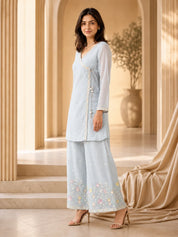 Powder Blue Co-ord Set with Botanical Motifs in Mul Chanderi