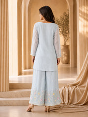 Powder Blue Co-ord Set with Botanical Motifs in Mul Chanderi
