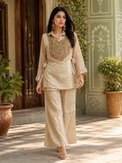 Beige Shimmer 3 Piece Co-ord Set with Embroidered Yoke in Crushed Tissue