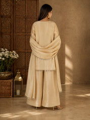 Beige Shimmer Tissue Kurta Set with Dupatta