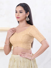 Metallic Tissue Sequence Embroidery Blouse