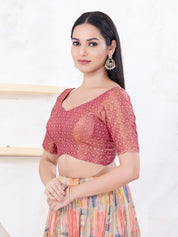 Metallic Tissue Sequence Embroidery Blouse