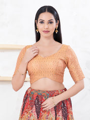 Metallic Tissue Sequence Embroidery Blouse