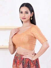 Metallic Tissue Sequence Embroidery Blouse