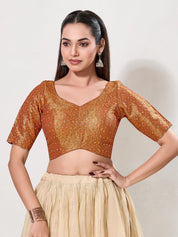 Metallic Tissue Sequence Embroidery Blouse