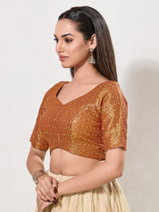 Metallic Tissue Sequence Embroidery Blouse