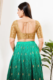 Tissue Vbutti Yoke Front Open Blouse