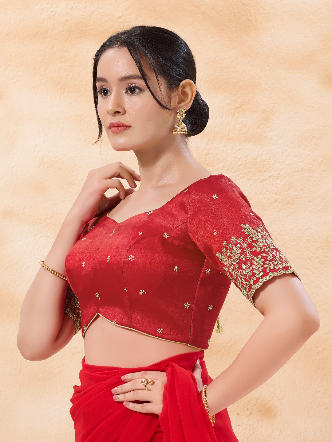 Zari Embroidered Sleeves Festive Blouse
