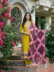 Lime Green Mirror Work Silk Blend Embroidered Cuff & Hem Ethnic Set with Dupatta